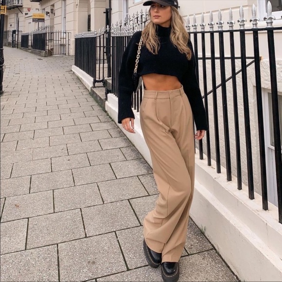 Zara Pleated Wide Leg Pants - Picture 7 of 16